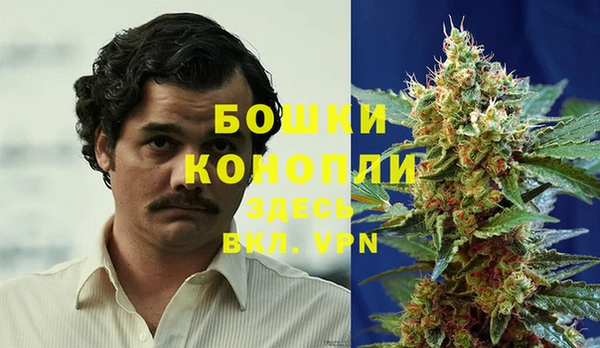 мяу мяу мука Белокуриха
