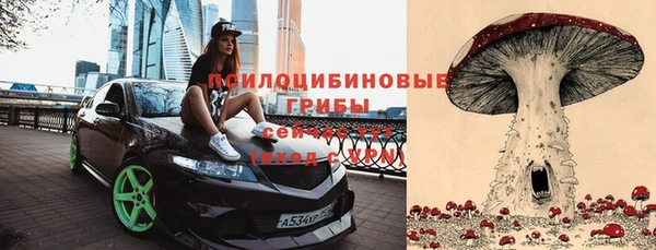 мяу мяу мука Белокуриха