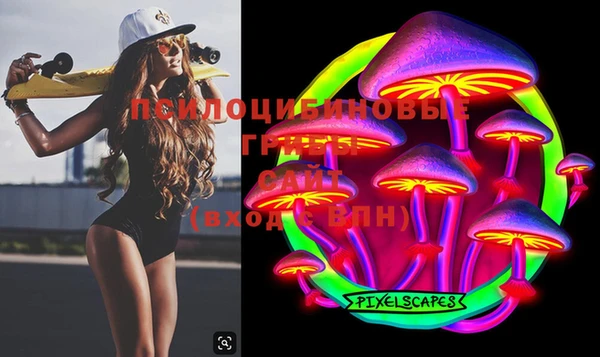 молекула духа Белоозёрский