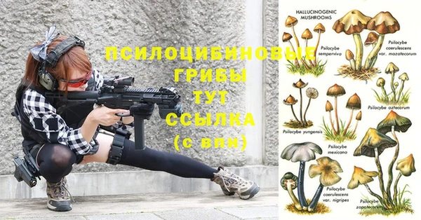 мяу мяу мука Белокуриха